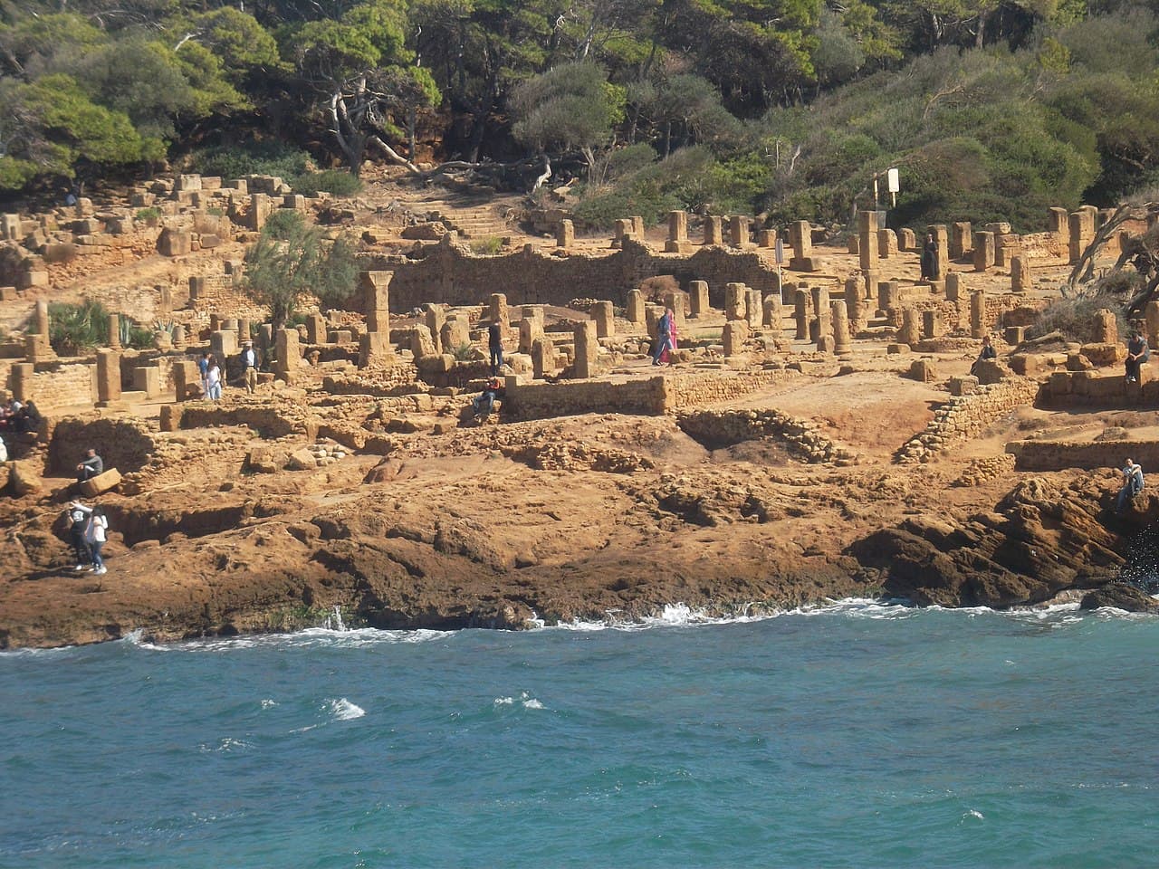 Tipaza
